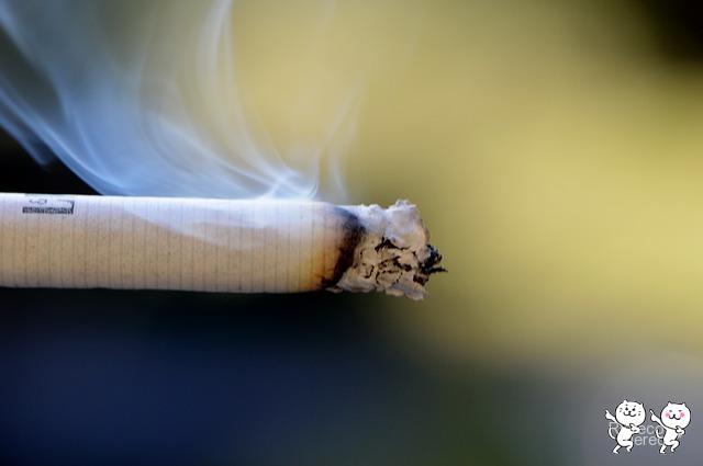 cigarette-666941_640
