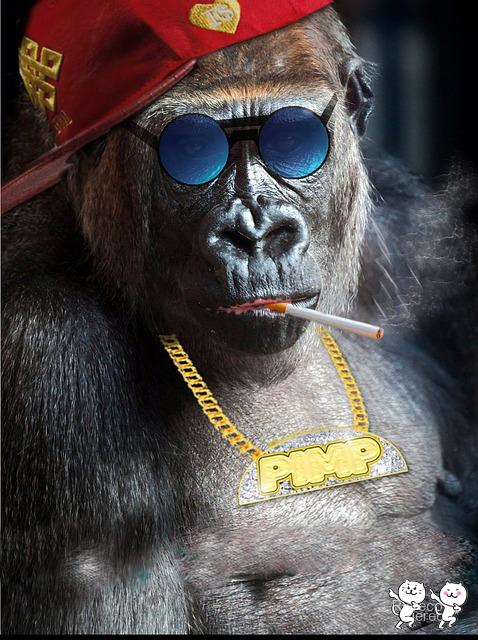monkey-853719_640