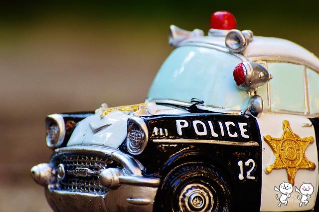 police-970011_640
