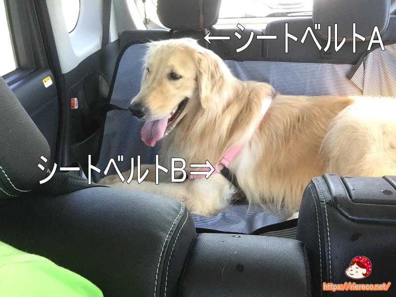 image21